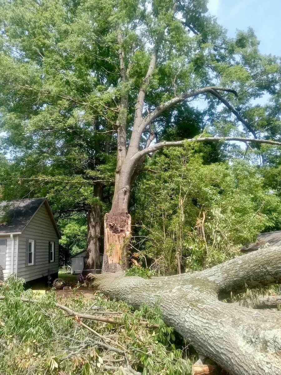 Spencer’s Tree Service LLC