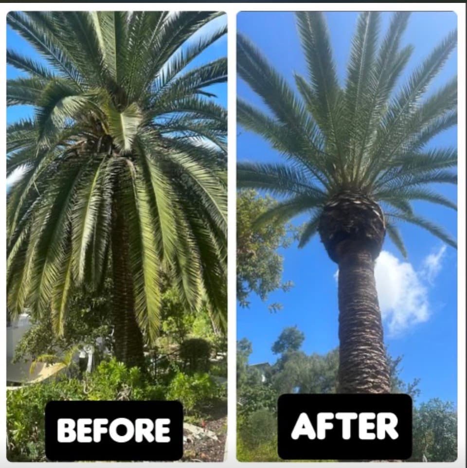 Erik's Tree Service & Brush Clearance