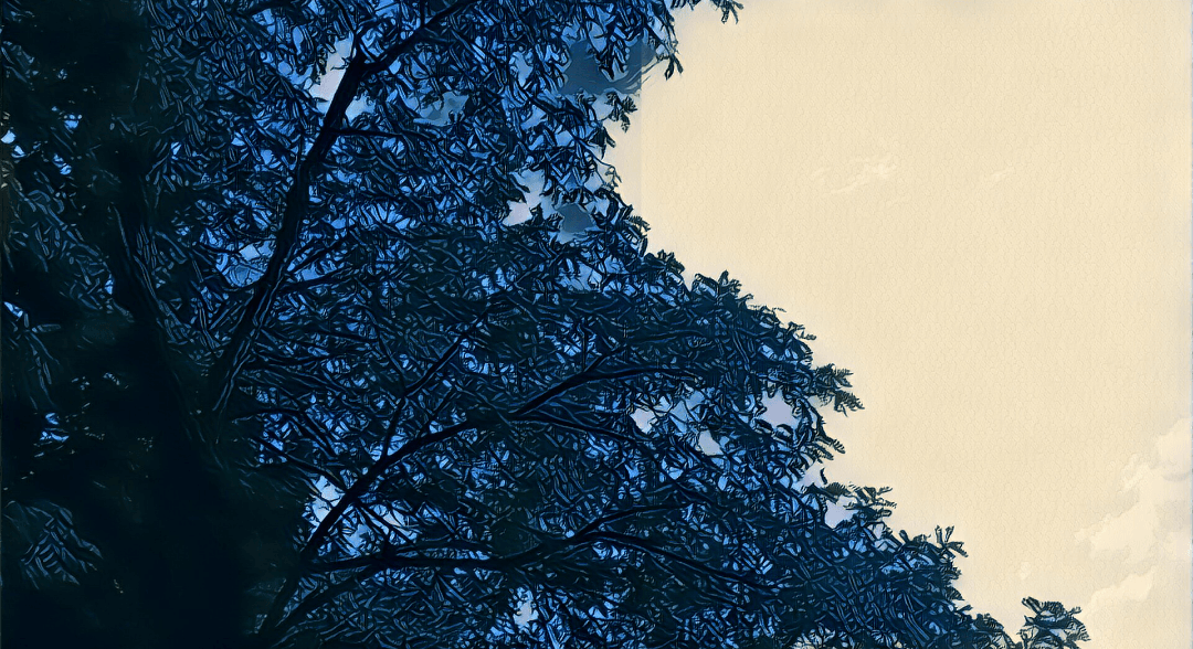 Climber Tree Service