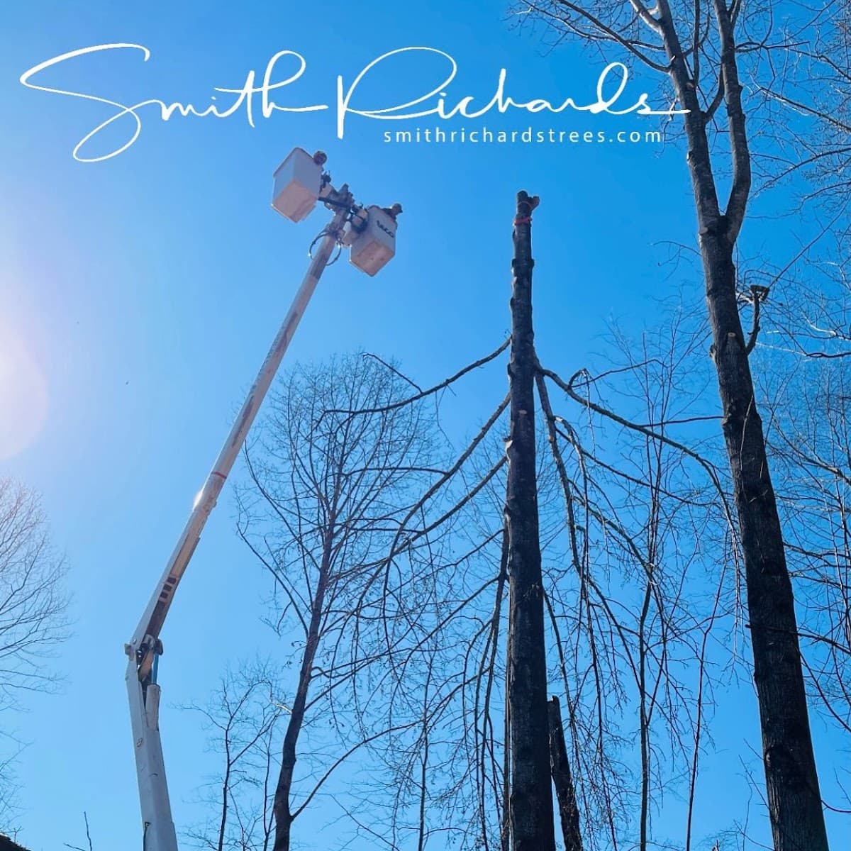 Smith Richards Land Management, llc