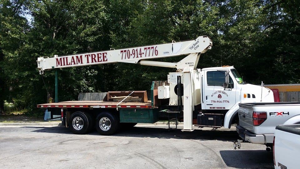 Milam's Tree Service