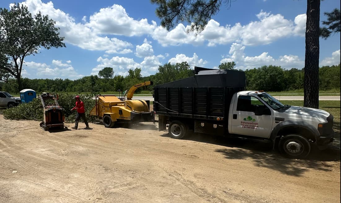 Innovative Tree and Landscape