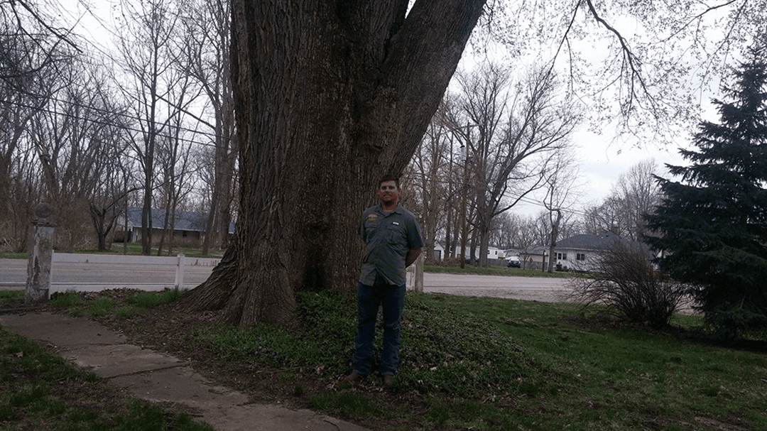 Salmon's Tree Service