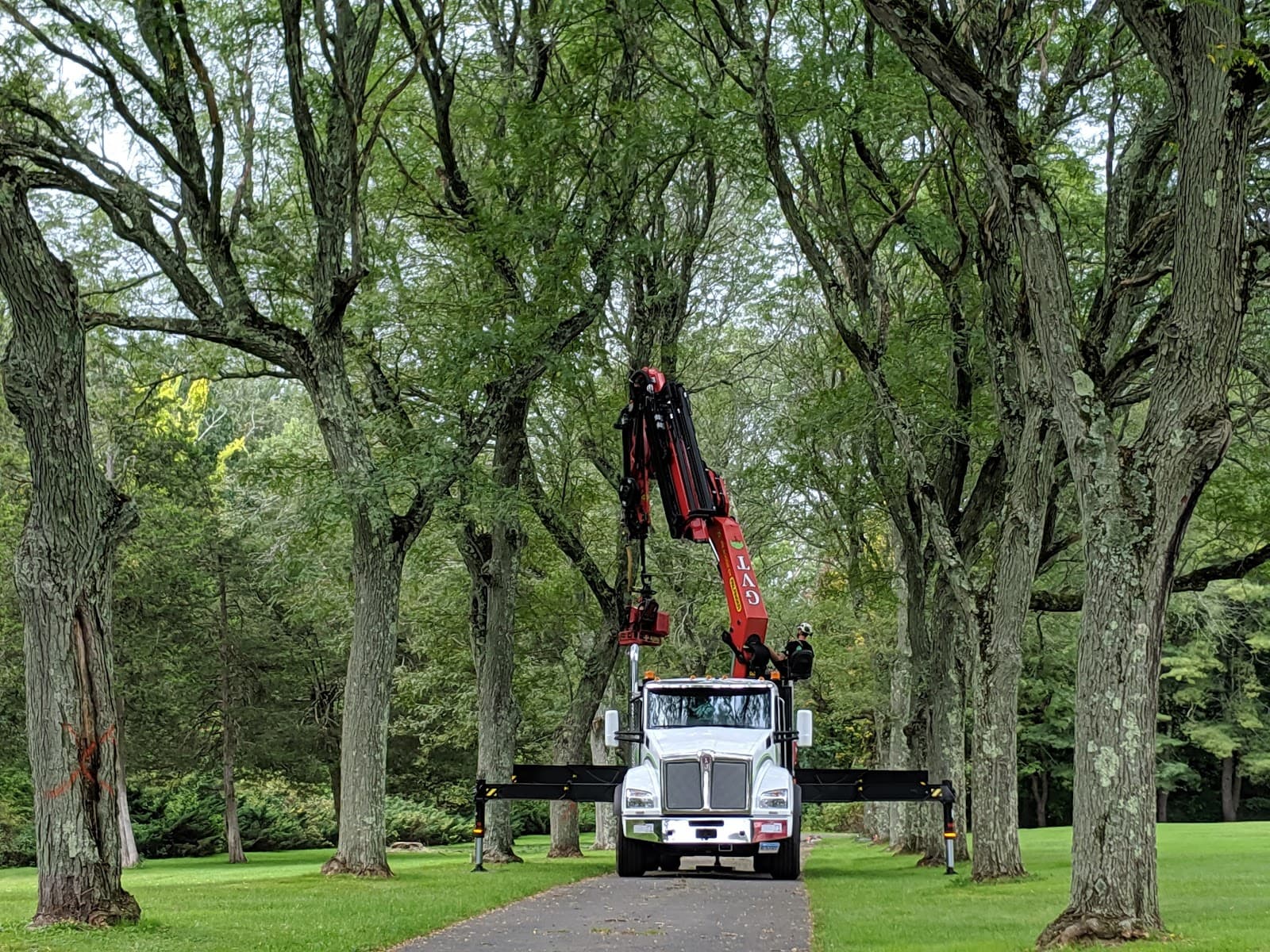 Green Valley Tree LLC