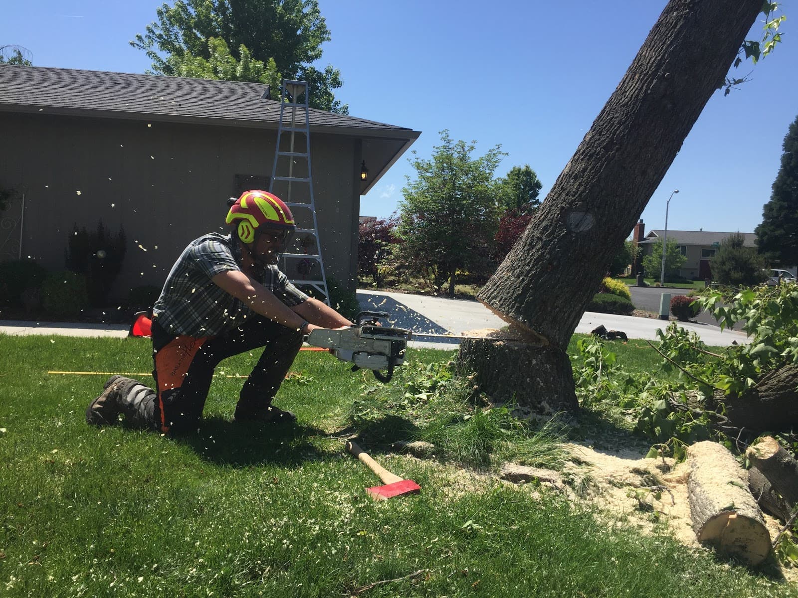 Beckner Tree Service