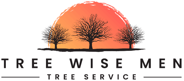 Tree Wise Men LLC