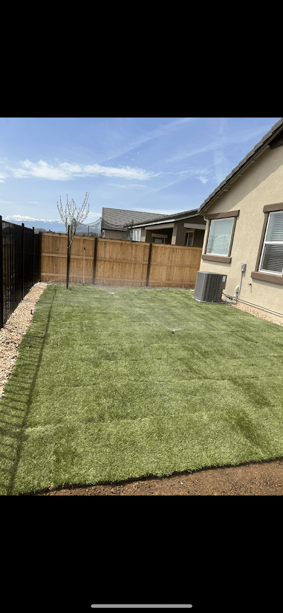 The Four Winds tree and landscape design