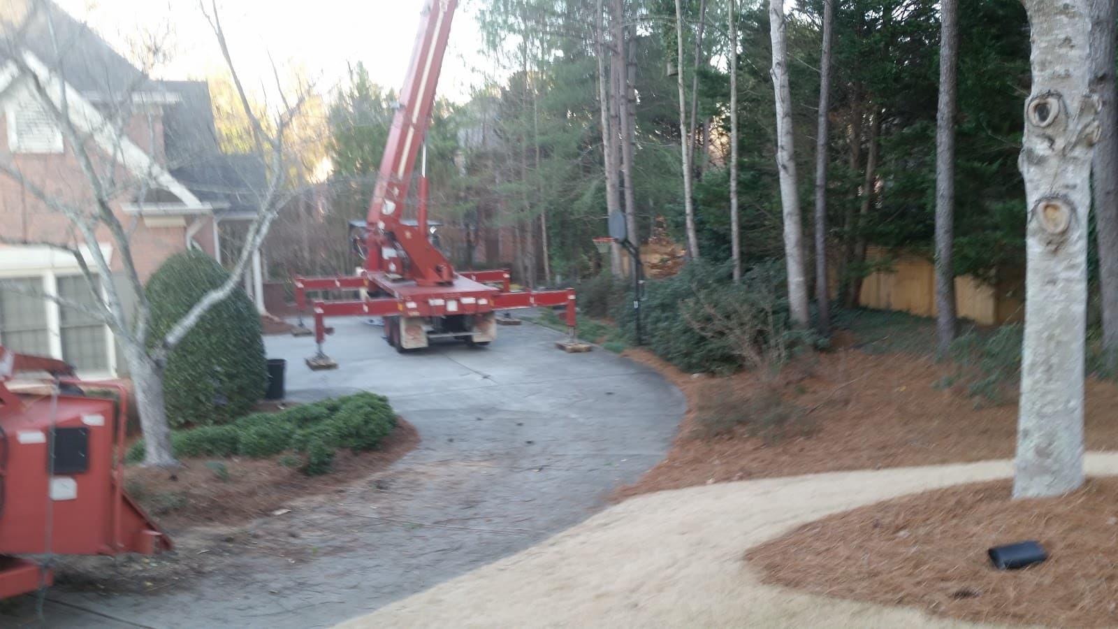 770 Arborist Emergency Tree & Crane Service