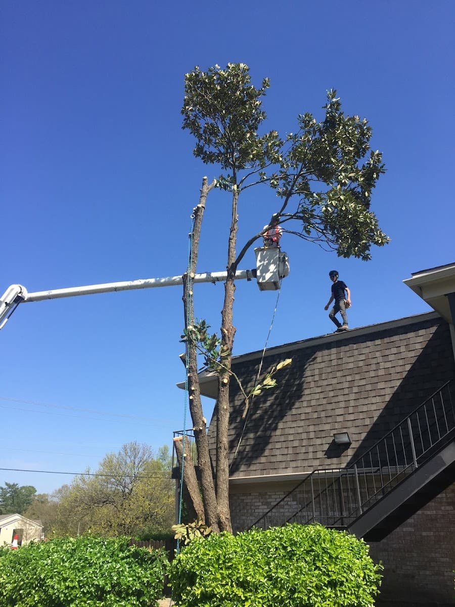 Pentecost Tree Service