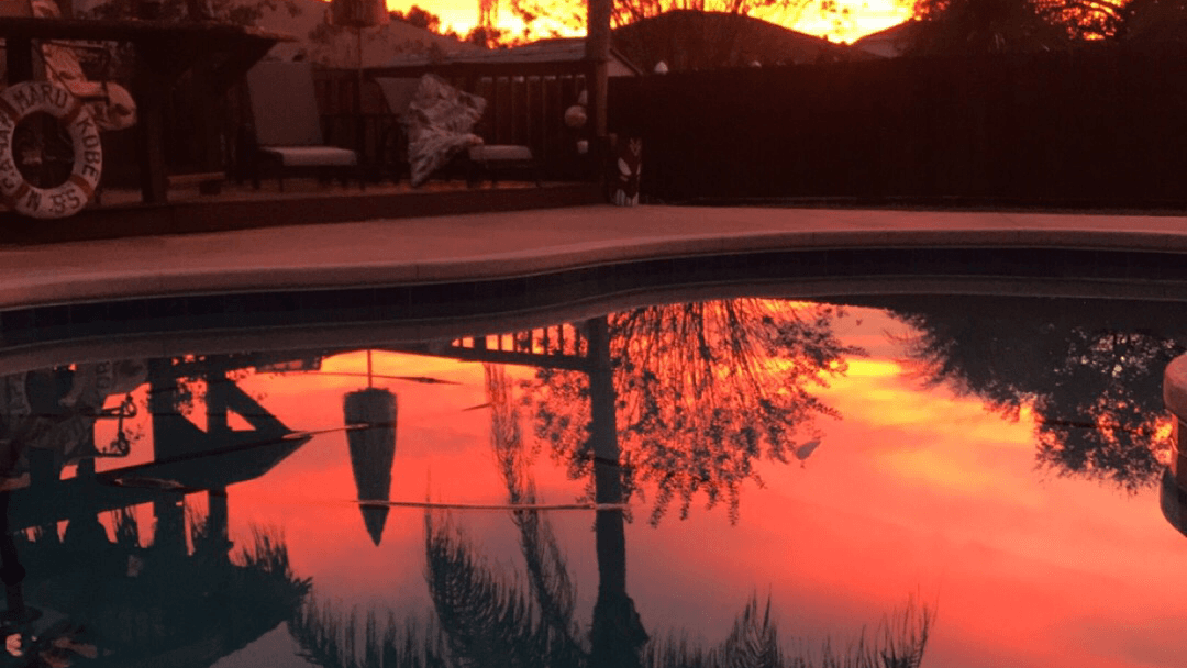 High View Tree Service Inc