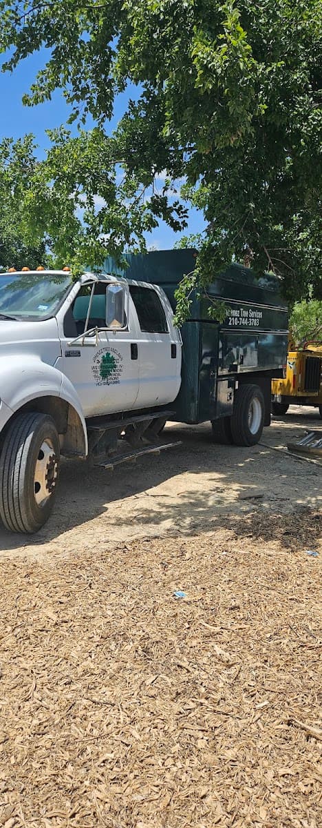 Jimenez Tree & Lawn Service