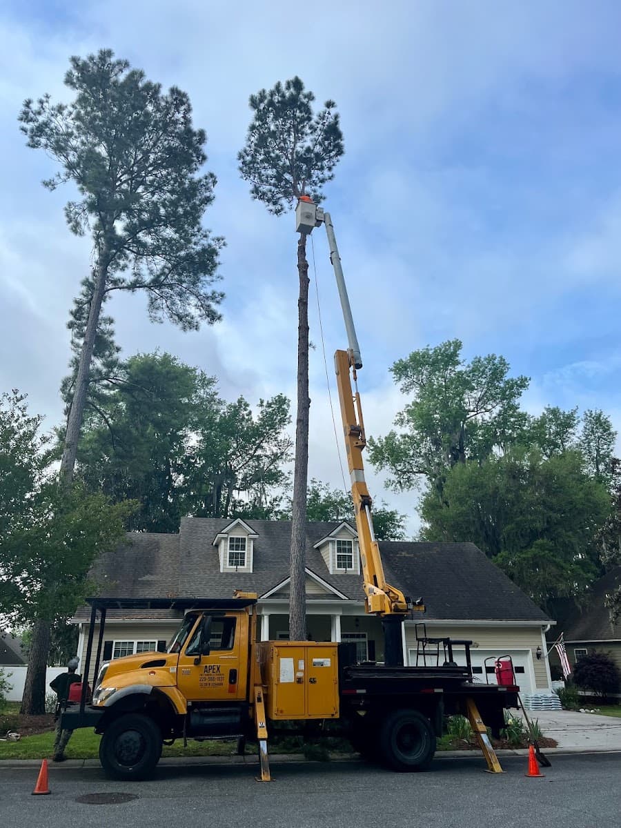 Apex Tree Removal and Trimming, LLC