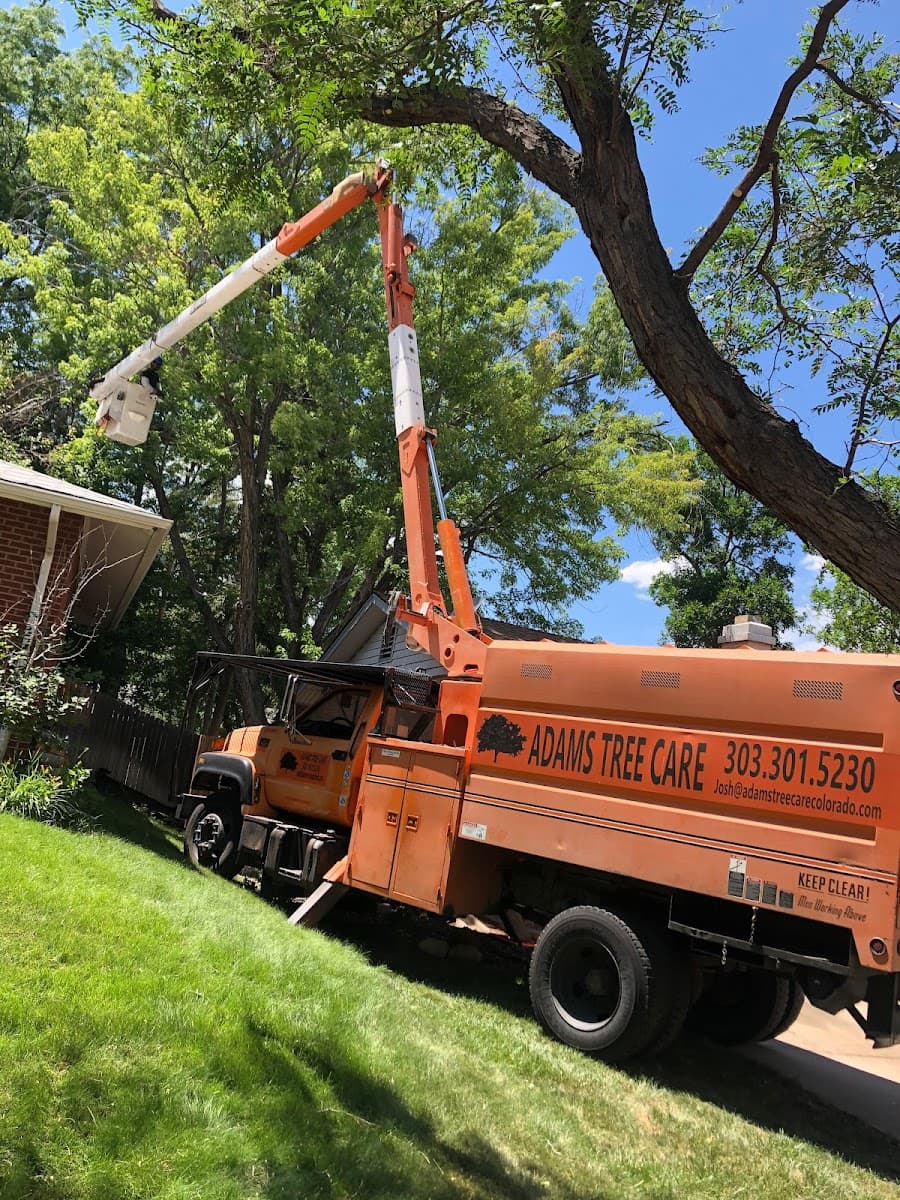 Adams Tree Care