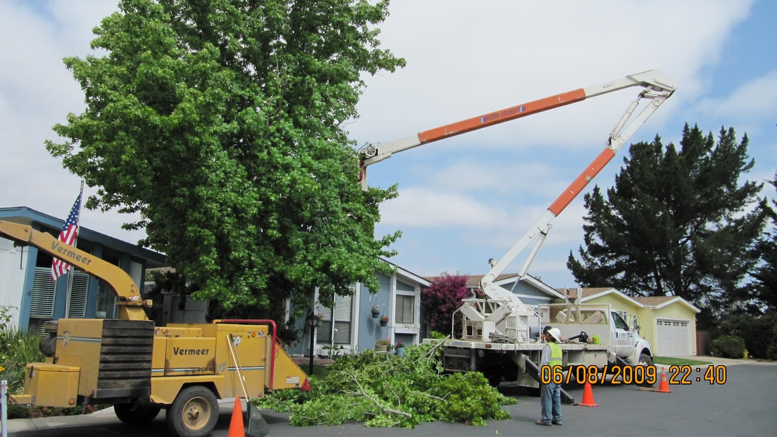 Coastal Tree Services
