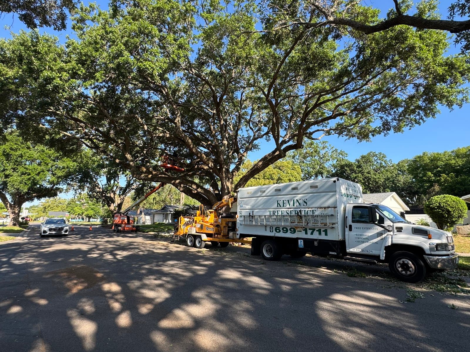 Kevin's Tree Service
