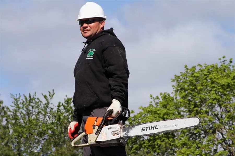 Tree Cutting & Trimming Nassau County