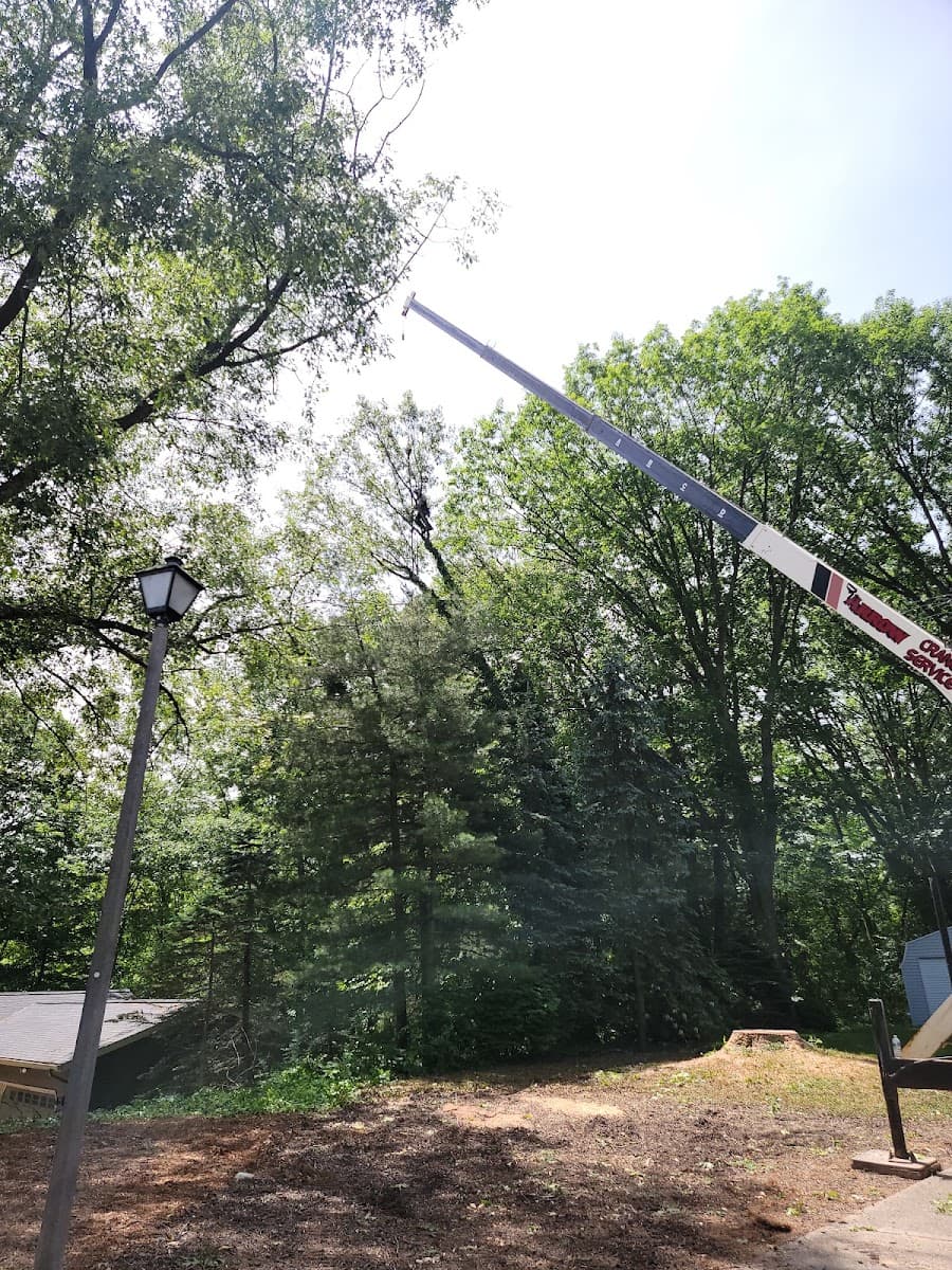 Hecksel Tree Service Inc