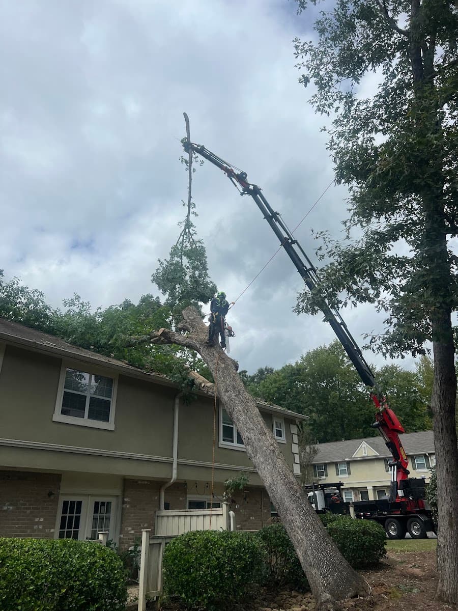 Atlanta Premier Tree Solutions