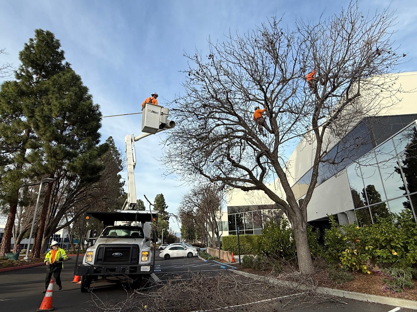 West Coast Tree Care