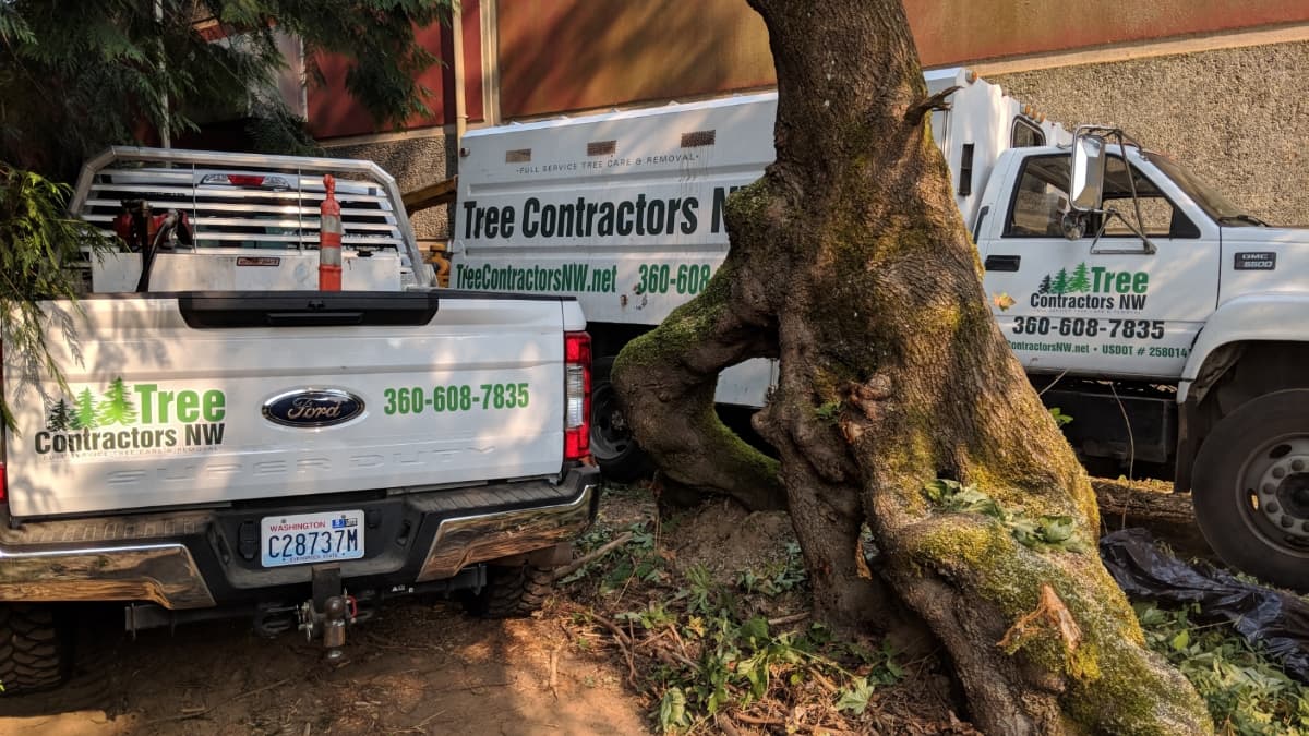 Tree Contractors Northwest Inc.