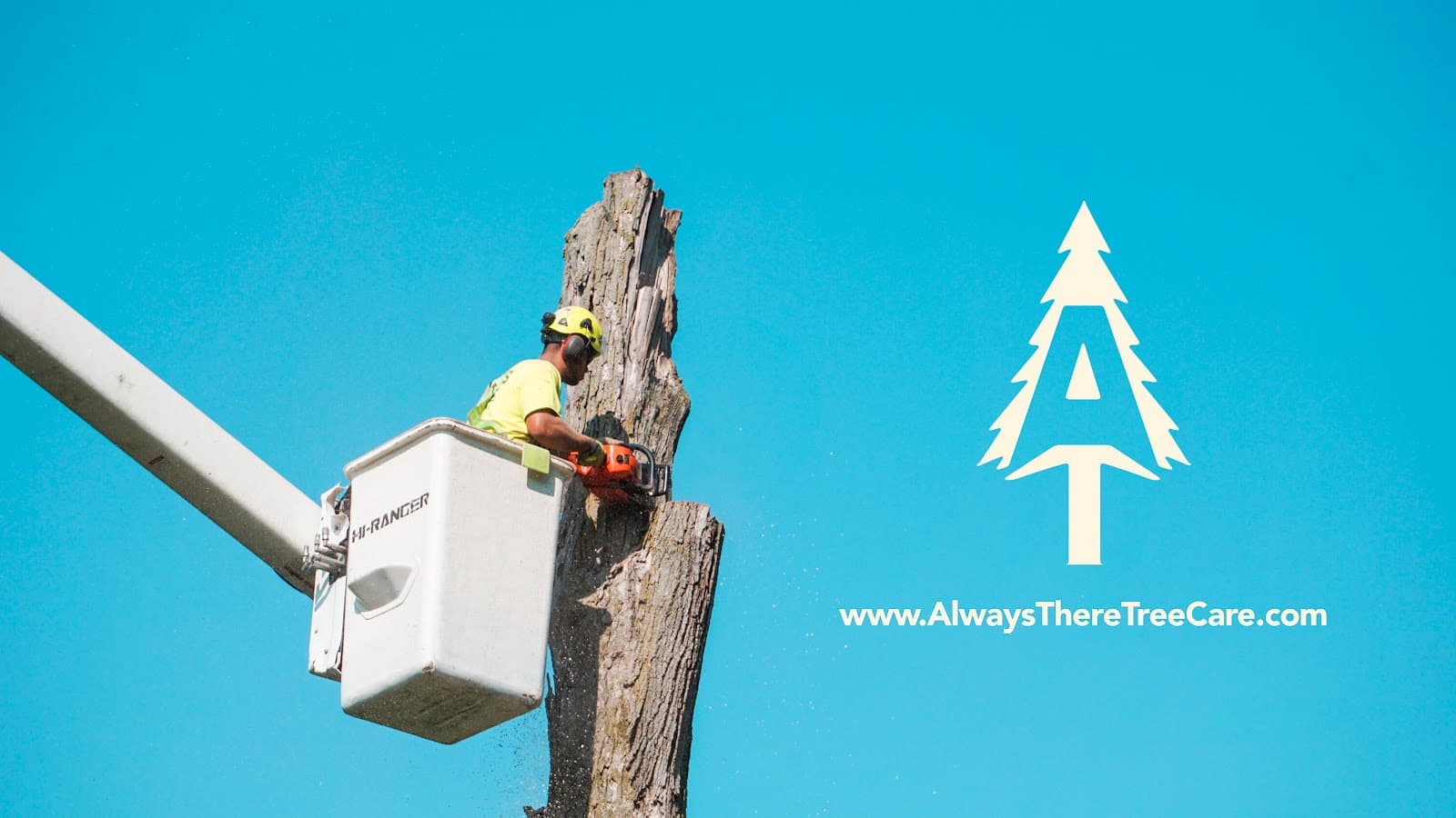 Always There Tree Care LLC