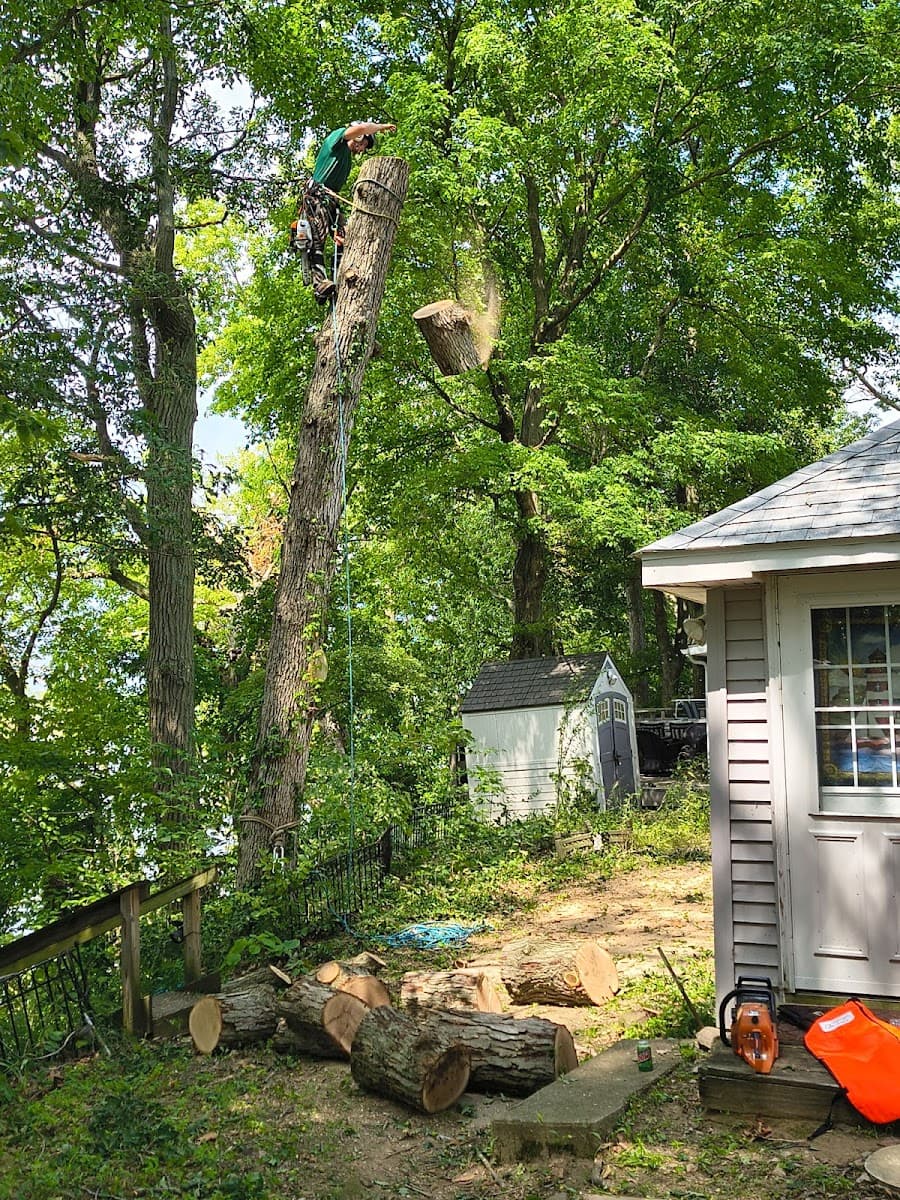 Hunnicutt’s Tree Service L.L.C.