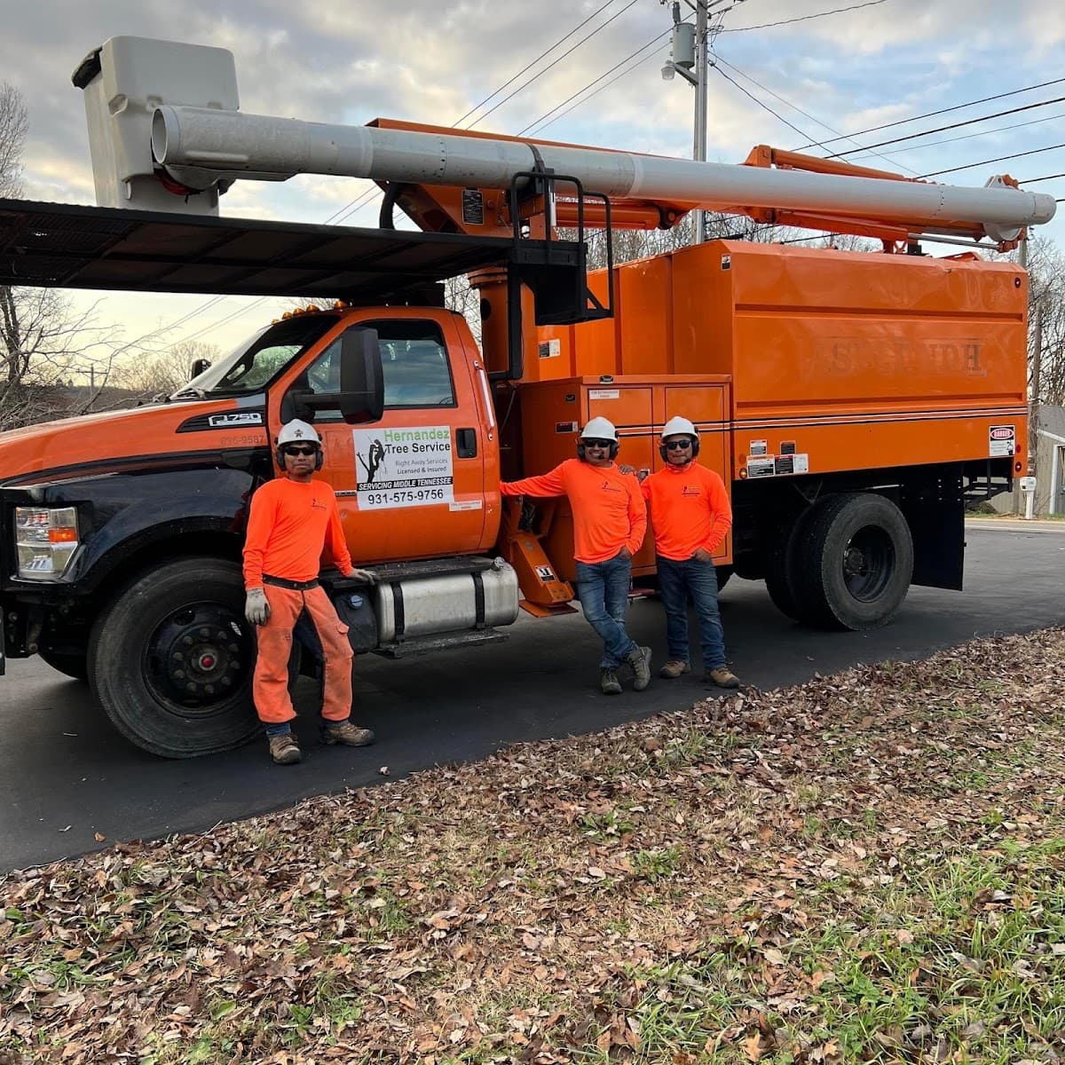 Hernandez Tree Service LLC