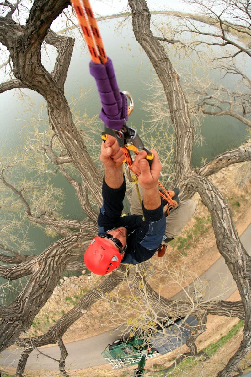 Cutting Edge Tree Care (Lafayette, CO)