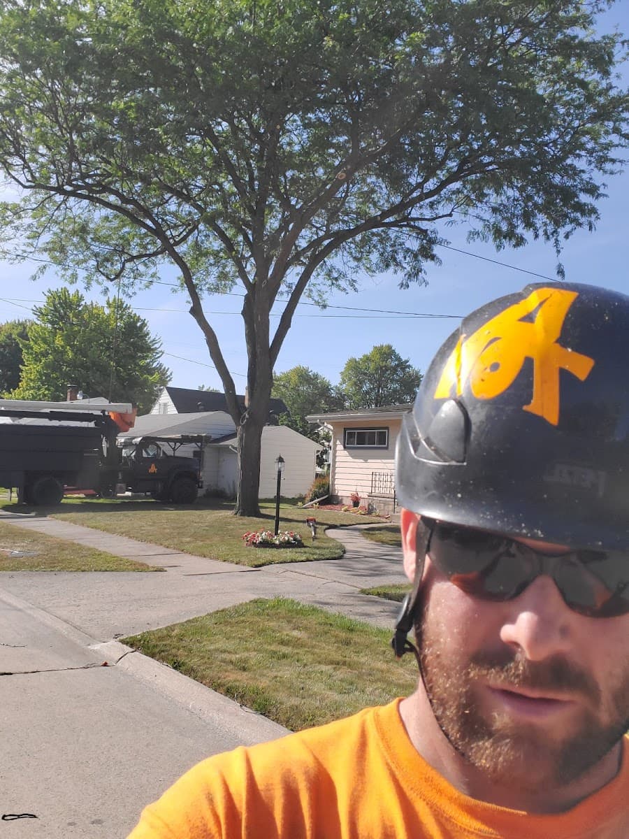 A Ton Tree Service & Debris