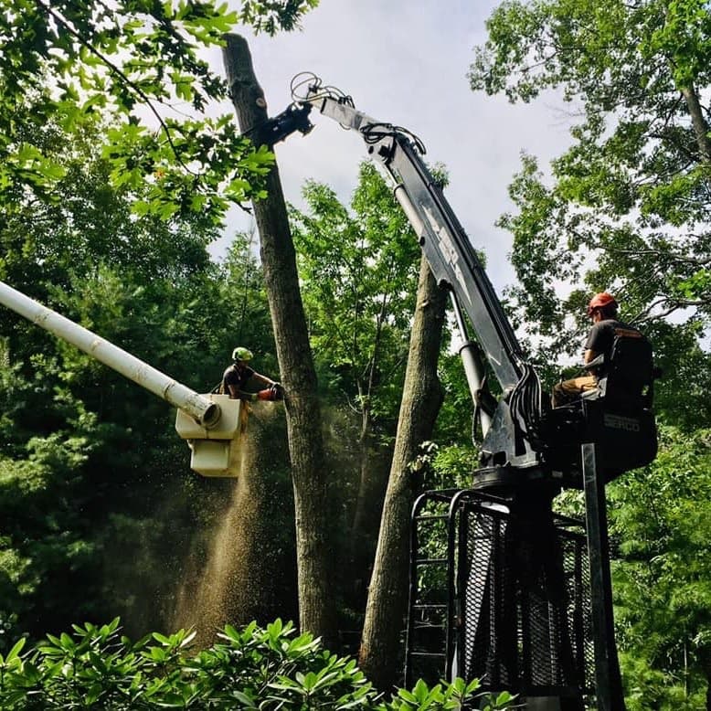 Ducharme Tree Service LLC