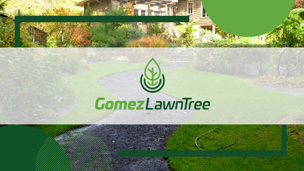 Gomez Lawn Tree