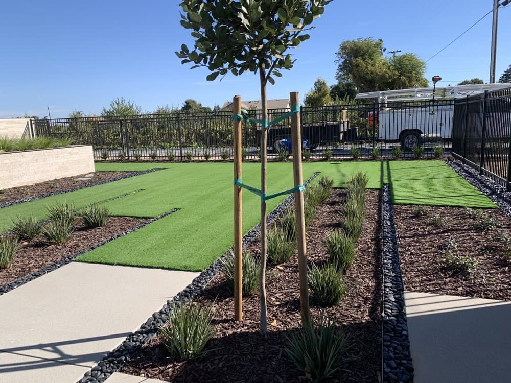 Central Valley Landscape & Tree