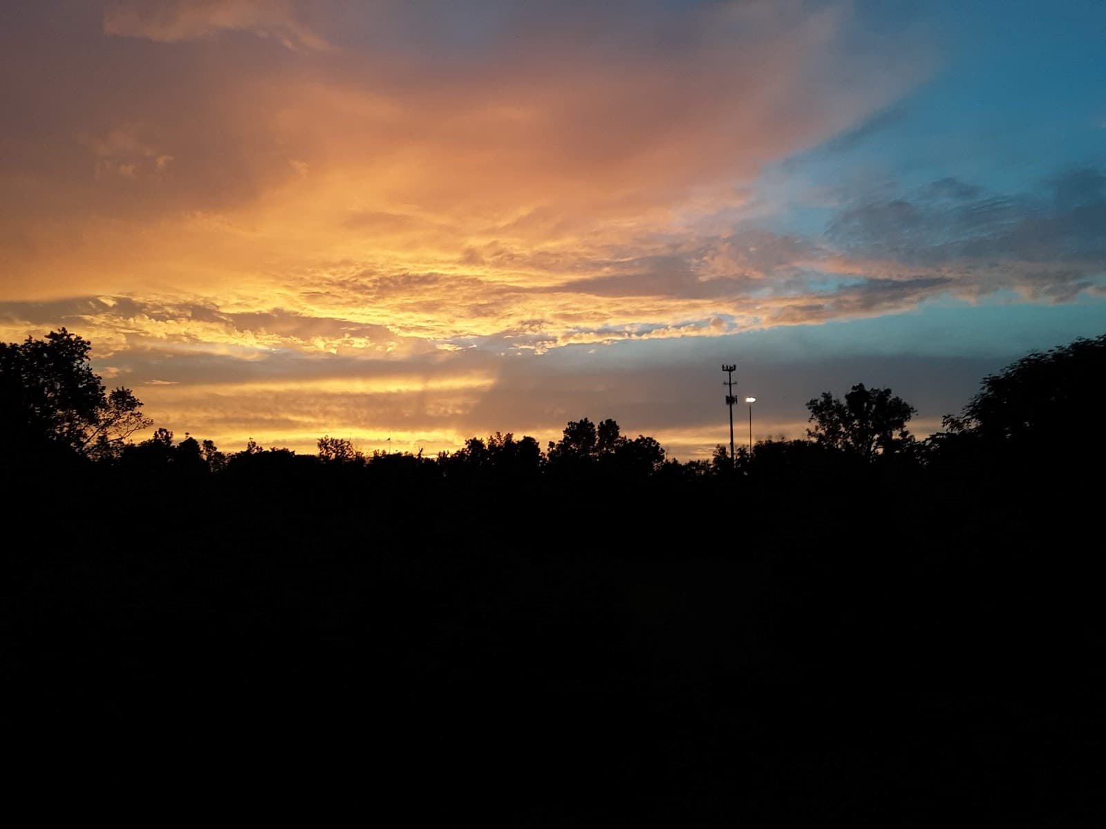 Ronnie's Tree & Landscape Service LLC