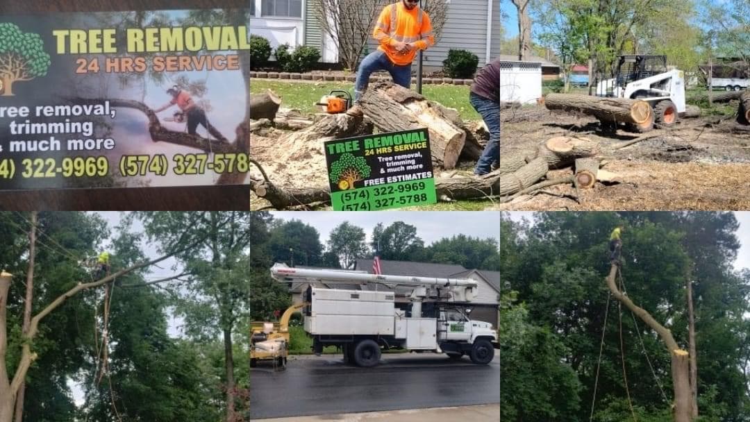 MP TREE SERVICES LLC