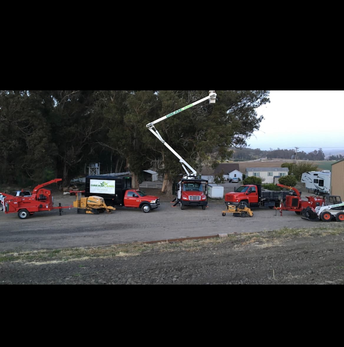 Dreamland Tree Service tree trimmers