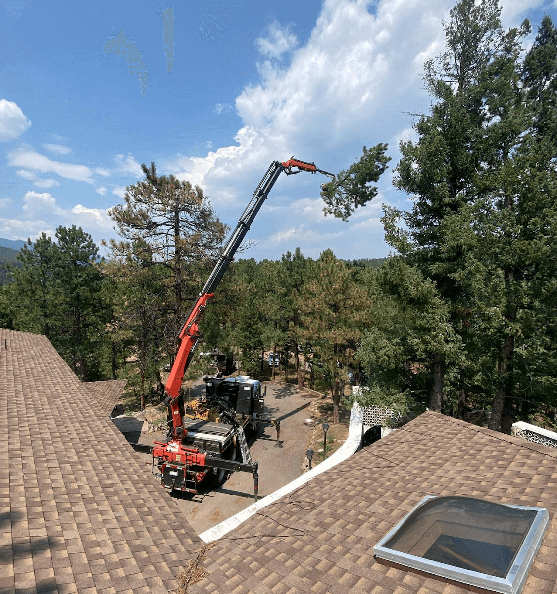 Splintered Forest Tree Services