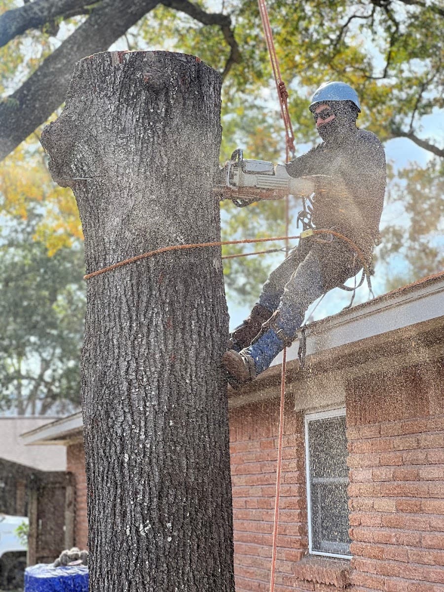 RF Tree Service