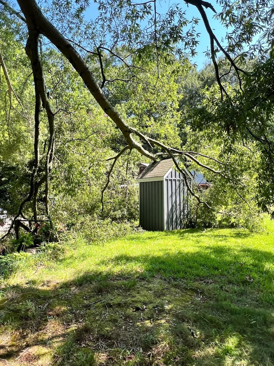 Richmond Tree Experts GA