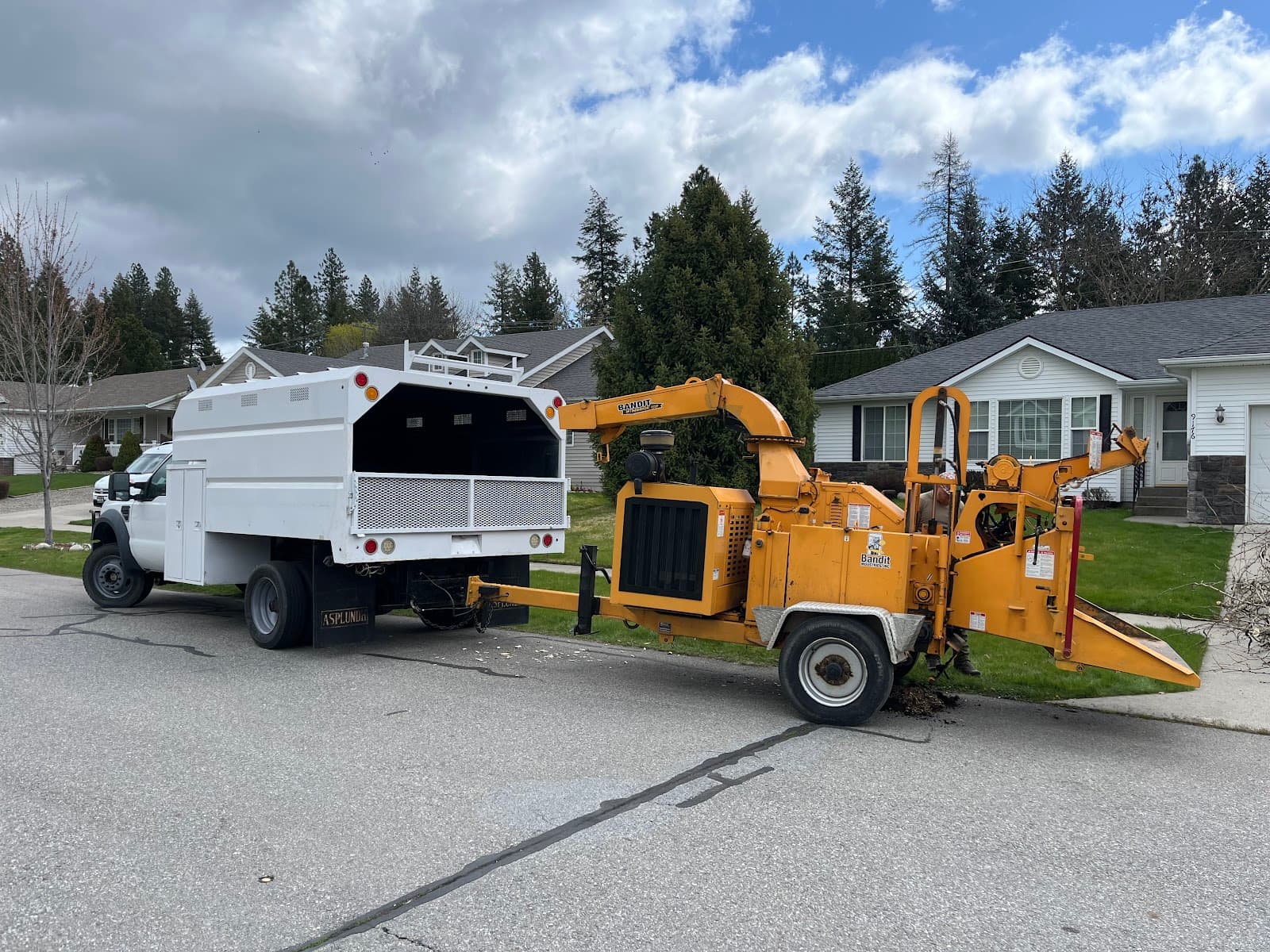 Elk Ridge Tree Care