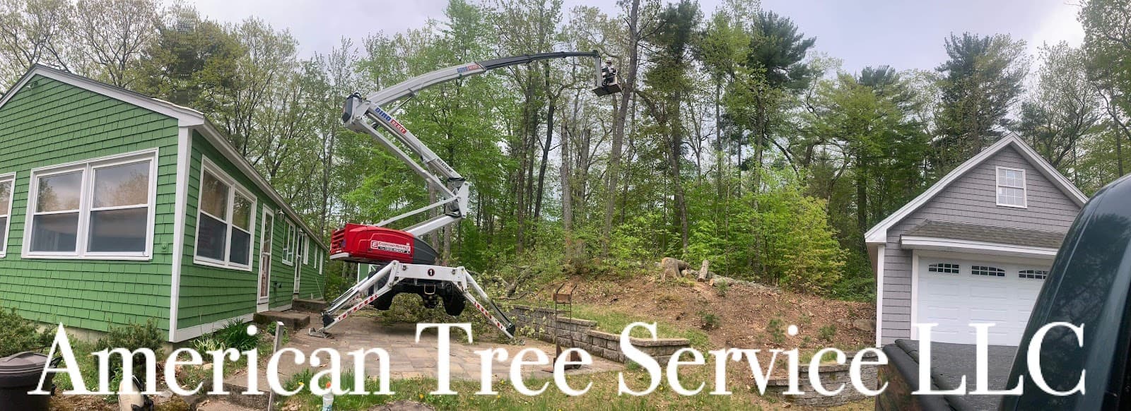 American tree service llc