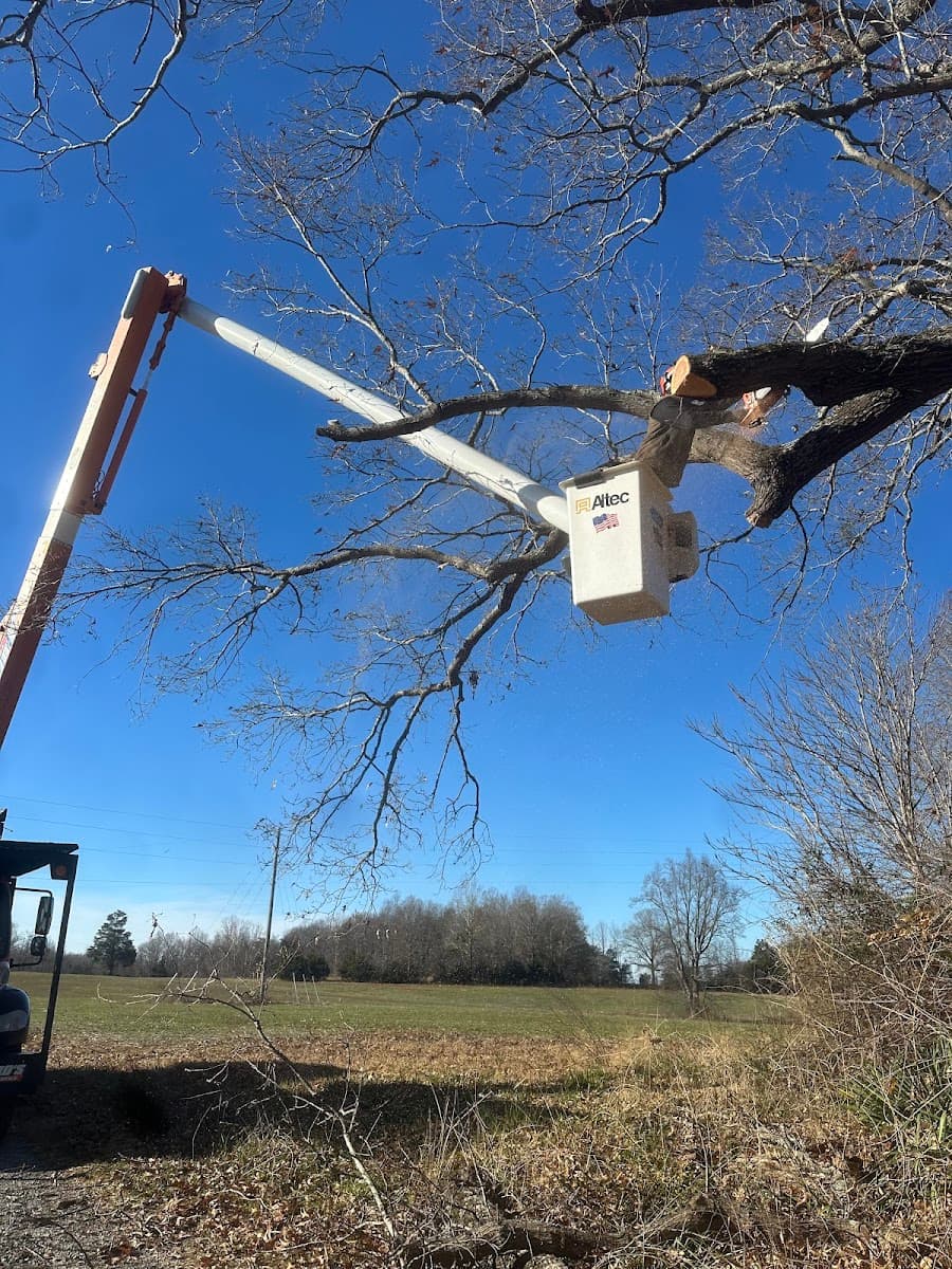 J-Bird's Tree Service
