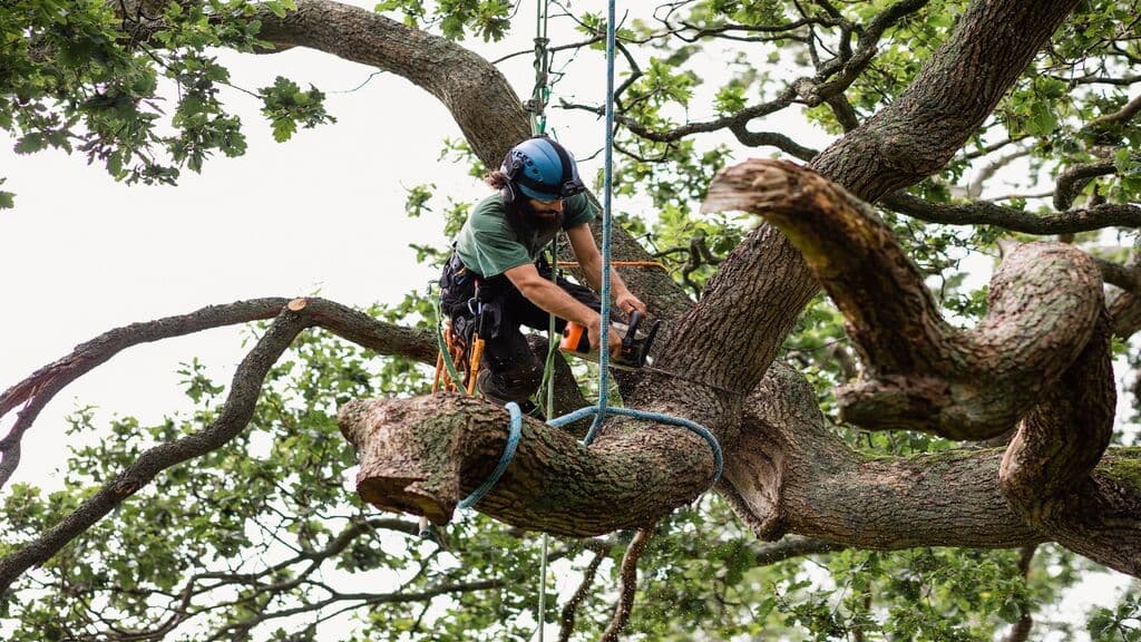 Against The Grain Tree Service