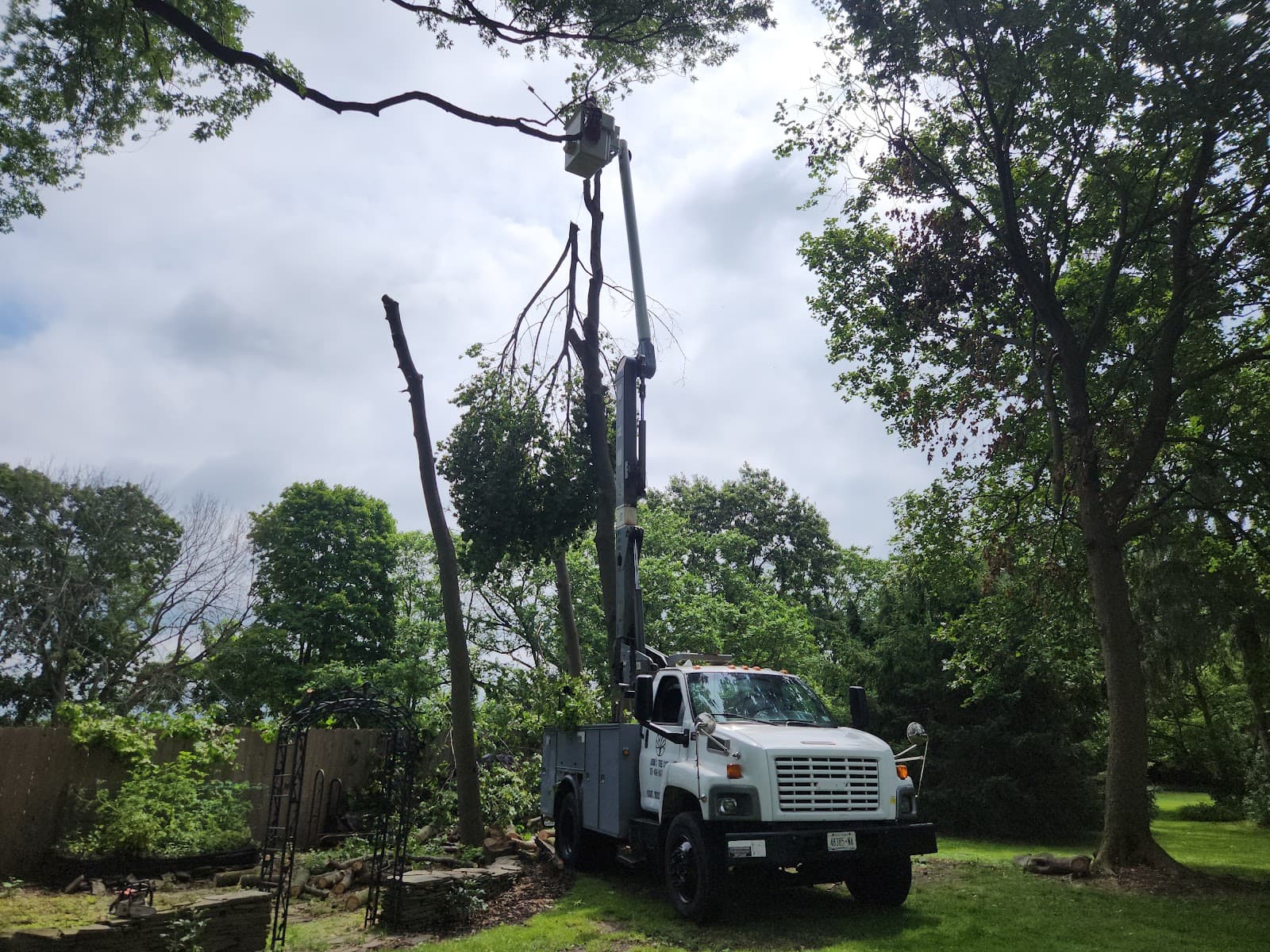 Jason's tree care