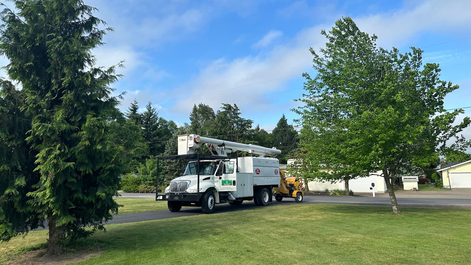 New Life Tree Service LLC