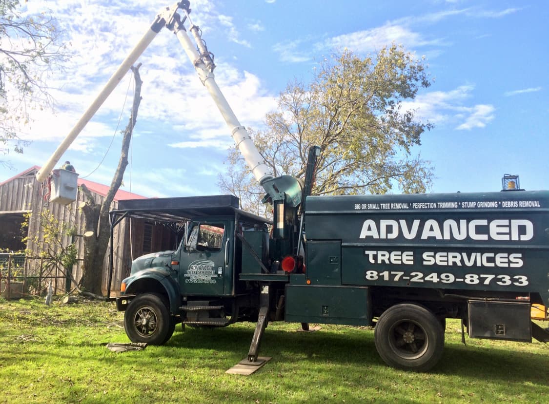 Advanced Tree Services