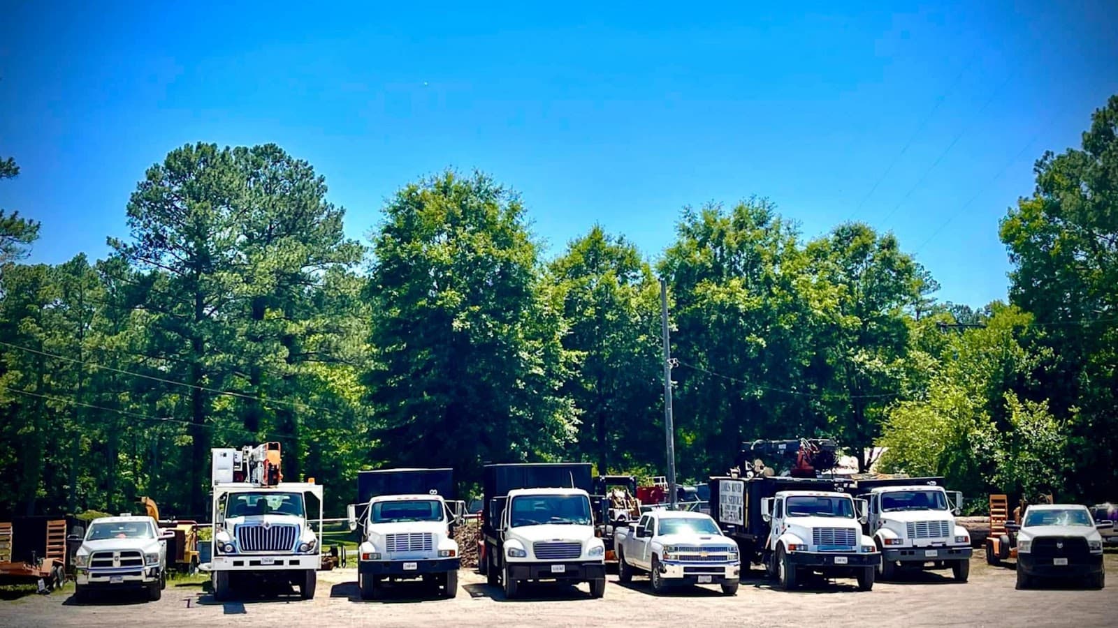 James River Tree Service