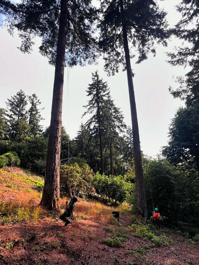 Harrity Tree Specialists, Inc.