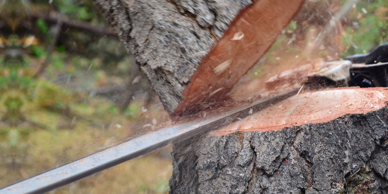 S J Tree Landscaping and Snow Removal Corp