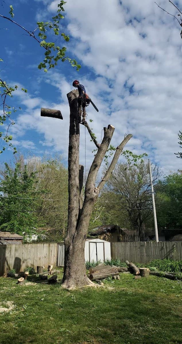 Big Sky Tree Service