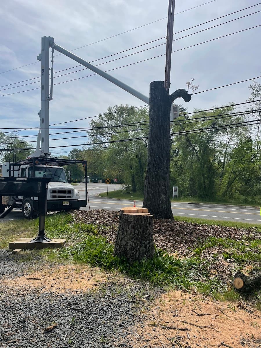 Flores Tree Service & Landscaping